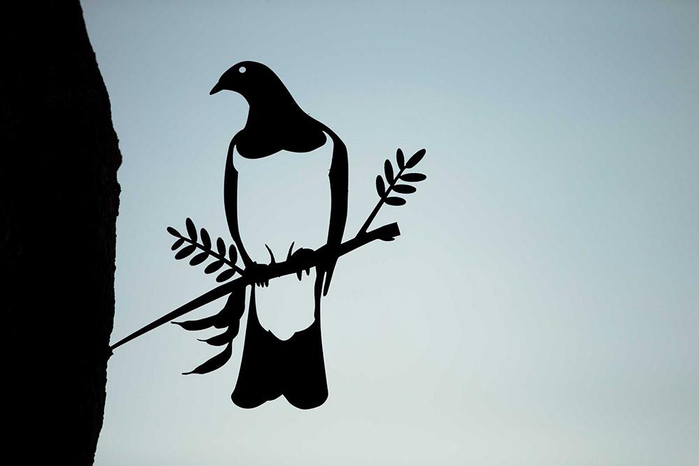 Kereru