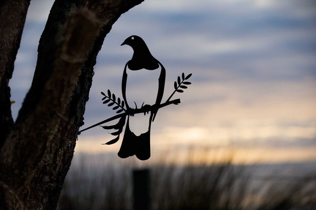 Kereru
