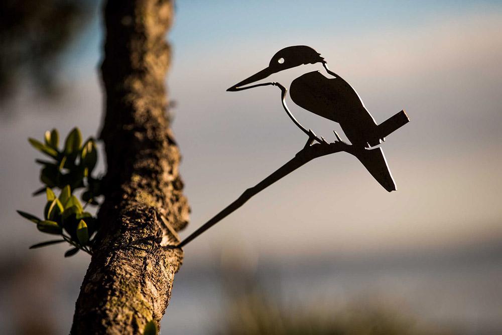 Kingfisher