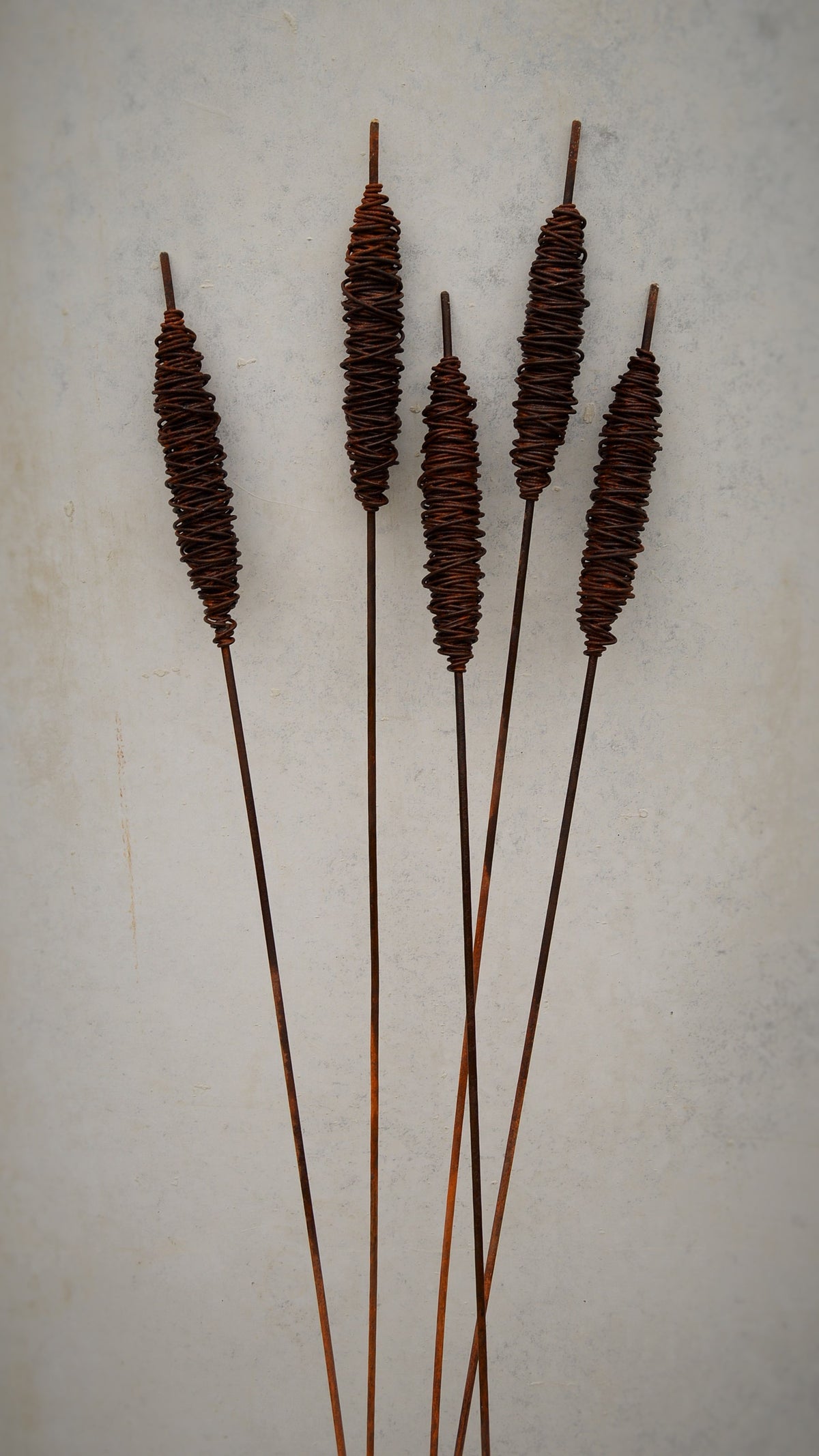 Rusty Burlushes