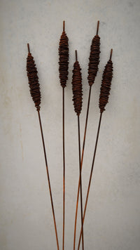 Rusty Burlushes