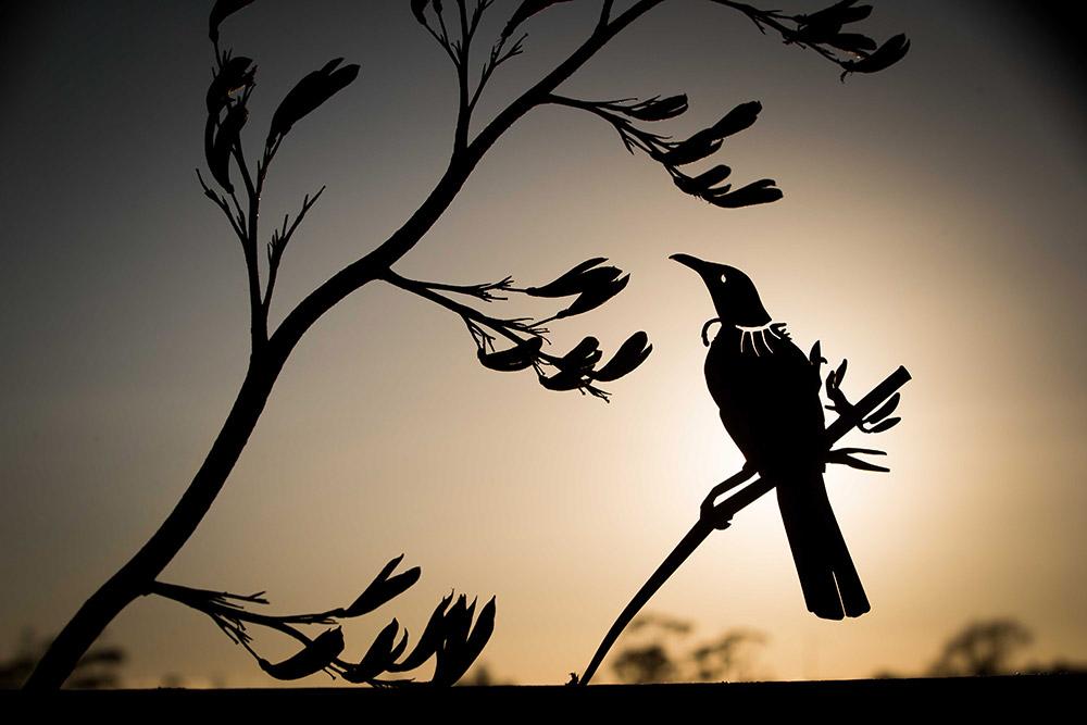 Tui