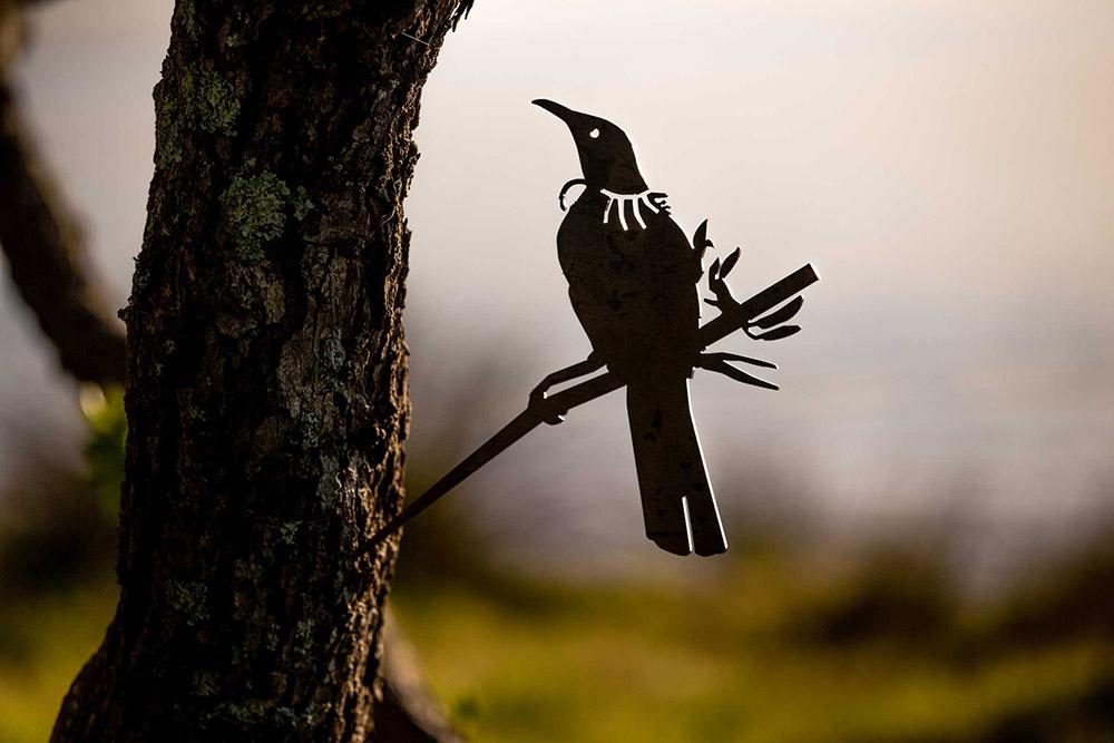 Tui