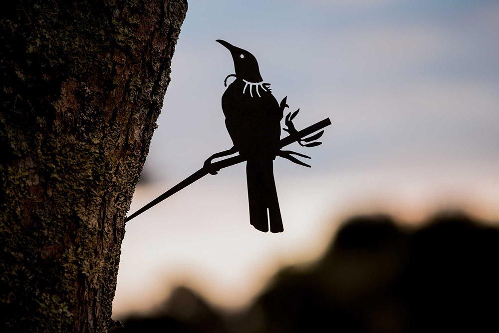Tui