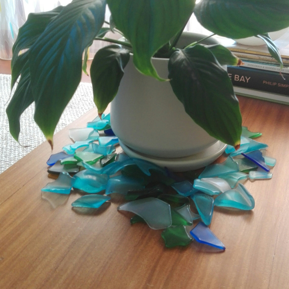 Tumbled Glass around houseplant